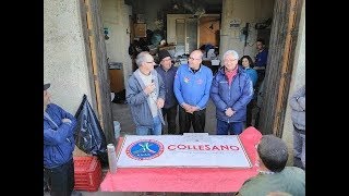 Potatura olivo a vaso policonico  corso  Sicilia Agricoltura Mario Liberto [upl. by Fidellas]