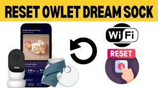 How To Reset Owlet Dream Sock [upl. by Sankey]