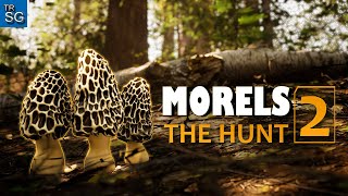 A Simulation Game About Mushroom Hunting and Wildlife Photography  Morels The Hunt 2  First Look [upl. by Aivek]