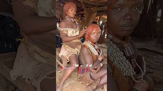 Crazy marriage ceremony of hammar tribe in Ethiopia thepaktrekker [upl. by Zipnick]