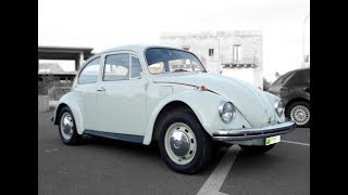 VOLKSWAGEN MAGGIOLINO 11D2 quotVETRO PIATTOquot 1969 [upl. by Yarb]