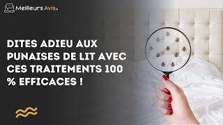 Dites adieu aux punaises de lit avec ces traitements 100  efficaces [upl. by Maiocco]