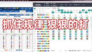 抓住了规律，还不敢下注吗？敢输不敢赢？｜极速赛车幸运飞艇極速賽車幸運飛艇軟件打法技術技巧挂機程序 [upl. by Janine487]