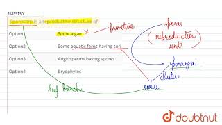 Sporocarp is a reproductive structure of [upl. by Sudaorb352]