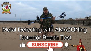 Detecting Somerset Hazlewolke Professional Lightweight Metal Detector Beach Test beach gold Epic [upl. by Haslett58]