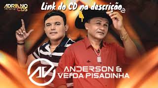 Anderson dos Teclados e o Véi Pisadinha  CD Novo 2019  Ao Vivo  CD Completo [upl. by Malvie]