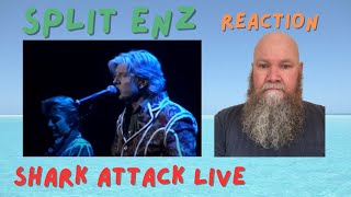 Split Enz  Shark Attack live 2006 reaction commentary  New Wave [upl. by Enihpesoj]