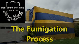 How Does Fumigation Work The Whole Process As I Saw It [upl. by Issie]