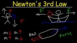 Newtons Third Law of Motion  Action and Reaction Forces [upl. by Alieka561]