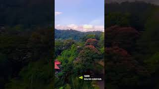 kandy citysri lankaEvening vibeTemple of the tooth relic view kandy lake💚🏨✨️ [upl. by Eimam993]