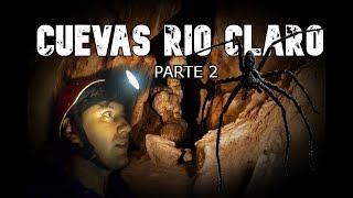 RIO CLARO Cueva de los Guácharos DanielTCuenta [upl. by Tallie]