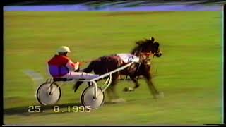 Tregaron Welsh Classic Festival 2581995 Day 1 Friday Evening UK Harness Racing [upl. by Yecies]