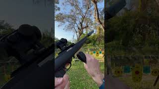 Gun Science Silenced Ruger 22 pistol vs Red Ryder BB Gun [upl. by Nivle]