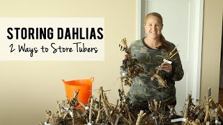 How To Store Dahlia Tubers TWO Ways for Winter Growing Cut Flowers Sunshine and Flora [upl. by Eskil141]