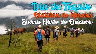 Día de Tequio en nuestra comunidad Zapoteca de la Sierra Norte de Oaxaca [upl. by Alleuqahs536]