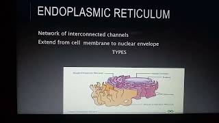 Endoplasmic reticulumashisarf ilmkidunyaofficial [upl. by Natsirhc]