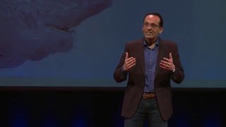 Improving Healthcare Straight from the Heart  Sanjay Saint  TEDxUofM [upl. by Matthew139]