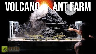 I Created a Volcano Ant Farm for Fire Ants [upl. by Arekat968]