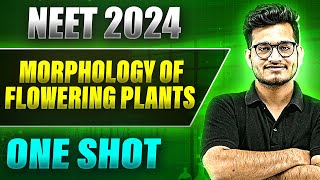 MORPHOLOGY OF FLOWERING PLANT in 1 Shot FULL CHAPTER COVERAGE TheoryPYQs  Prachand NEET [upl. by Bergh]