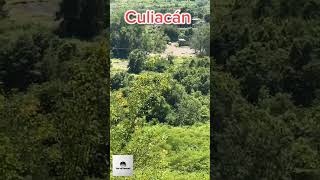 Siguen los enfrentamientos entre civiles armados en Culiacán [upl. by Aisekal10]