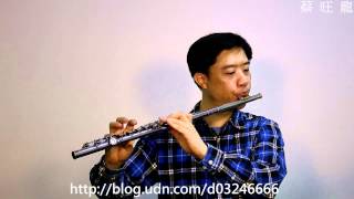 Schumann Traumerei ／舒曼 夢幻曲／Flute／長笛 吹奏自錄2012516 [upl. by Crispa]