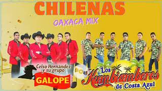 Grupo Soberano De Tierra Mixteca ft Grupo Tronador  Chilenas Oaxaqueñas Para Bailar [upl. by Hale]