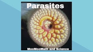 ParasitesSymbiotic Relationships [upl. by Kire]