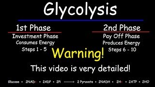 Glycolysis  Biochemistry [upl. by Solahcin]