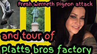 Werneth Oldham Revisit with fresh pidgeon attack and tour of Platts warehouse sarahs uk graveyard [upl. by Schindler]