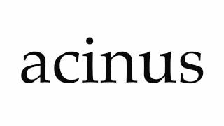 How to Pronounce acinus [upl. by Ainesell832]