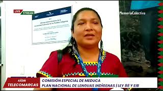 COMISIÓN ESPECIAL DE MEDUCA  CONDIPI  LLANO TUGRÍ [upl. by Ayana1]