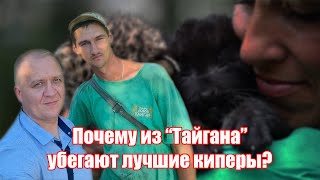 Рабство в парке львов quotТайганquot Олега Зубкова  почему уходят киперы [upl. by Tatiana]