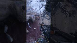 Таким зайцем можно всю семью прокормить😂😂 metroexodus метроисходпрохождение метроисход метро [upl. by Wade]