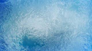 Frost  FREE Video Background Loop HD 1080p [upl. by Minsat]