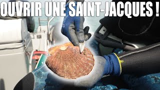 Comment Ouvrir une Coquille SaintJacques  TUTORIEL [upl. by Moina98]