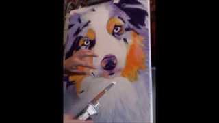 DawgArt  Australian Shepherd  Speed paint [upl. by Hintze448]