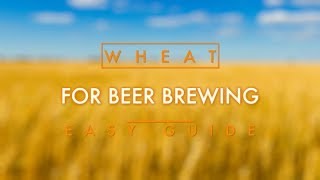 Wheat For Beer Brewing Easy Guide [upl. by Llennoj]