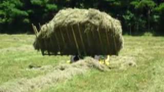 How to HAY SWEEP instead of baling hay day 2 [upl. by Otreblasiul]