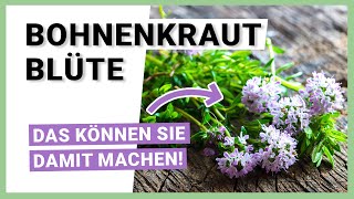 Bohnenkraut Blüte Alles was Sie damit machen können [upl. by Karli]