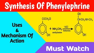 Synthesis Of Phenylephrine  Uses And Mechanism Of Phenylephrine  Medicinal Chemistry [upl. by Ardnwahsal]