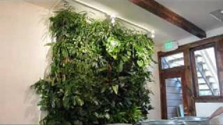 Living wall kit installation [upl. by Aizatsana]