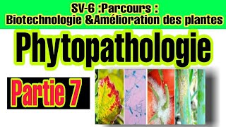 Phytopathologie Partie 7  Les domaines daction de la phytopathologie [upl. by Manoff56]