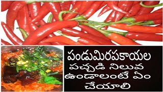 పండు మిరపకాయల పచ్చడిపండుకారం నిల్వ పచ్చడిRed Chilly Chutney Red chilli recipesAmmulu Tv [upl. by Kinney619]