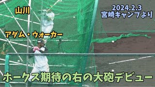 宮崎のホークスファン拍手喝采😮山川穂高＆ウォーカー打撃練習‼️宮崎キャンプにて初披露㊗️山川がホームラン王の打撃をいきなり見せつける😙ソフトバンクホークス宮崎キャンプ2024🌴202423 [upl. by Abeu]