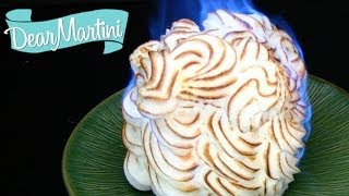 How to Make Baked Alaska Recipe Video [upl. by Uwkuhceki207]