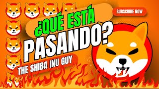 Desaparición misteriosa de Shiba Inu Última advertencia [upl. by Nylecoj]