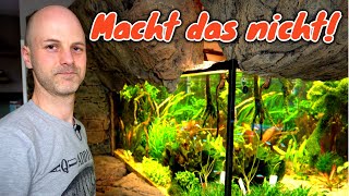 Vermeide diese drei Fehler bei deinem Aquarium [upl. by Shult]