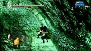 Dark Souls Walkthrough  Dark Souls Guide  Blighttown Fire Keeper Soul  WikiGameGuides [upl. by Caesaria]