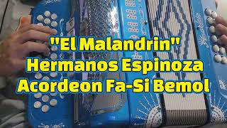 El MalandrinHermanos EspinozaAcordeon FASi Bemol [upl. by Ecnav]