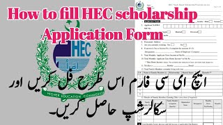 How to fill up HEC need base scholarship Application form properlyHow to apply for HEC scholarship [upl. by Leinnad440]